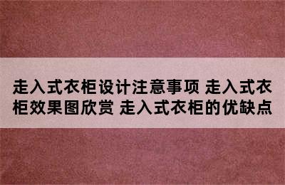 走入式衣柜设计注意事项 走入式衣柜效果图欣赏 走入式衣柜的优缺点